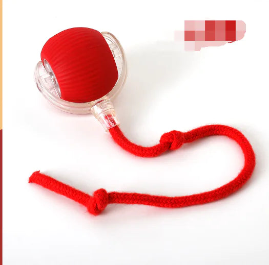 Electronic Hunting Ball Toy for Cats (One Set)