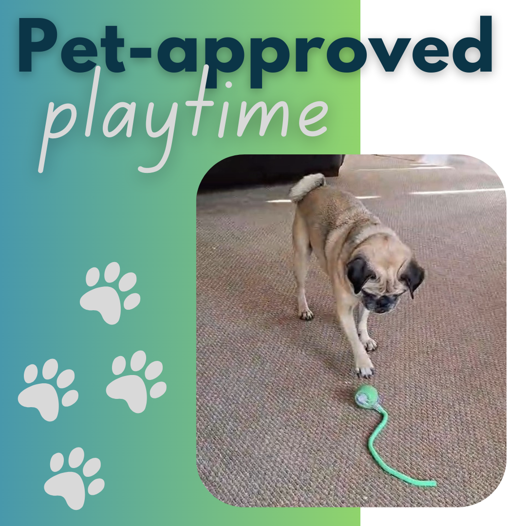 Electronic Hunting Ball Toy for Cats (One Set)