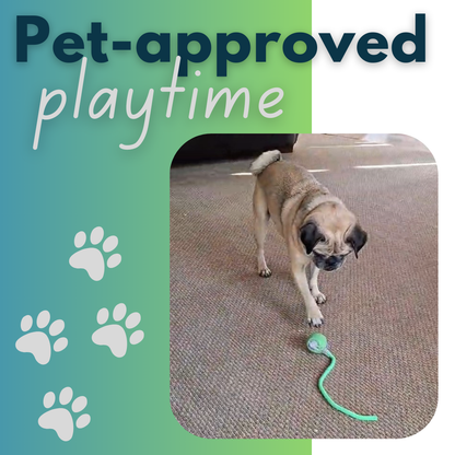 Electronic Hunting Ball Toy for Cats (One Set)